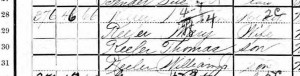 1900 Federal Census showing Wee Willie Keeler and his family in a wood frame house at 376 Pulaski Street.