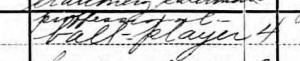 1900 Federal Census showing Keeler's "profession" as "Professional Ball-player." He was playing with the Brooklyn Superbas at the time.