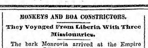 Bklyn Eagle, 21 February 1889