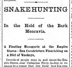 "Snakehunting" (Bklyn Eagle, 16 July 1889)