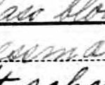 Duffy's occupation on the 1900 Federal Census.