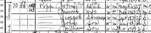 1900 Federal Census showing John and Minnie Popp living in Stuyvesant Heights.
