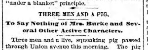 Bklyn Daily Eagle, 21 November 1892.