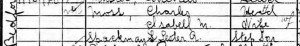 The Moss Family at 1173 Bedford Ave. (1910 Federal Census)