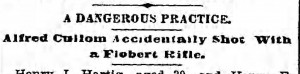 Bklyn Daily Eagle, 14 July 1894