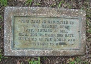 Private Edward J. Bell’s Memorial Tree Project nameplate.