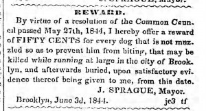 Bklyn Daily Eagle, 30 July 1844.