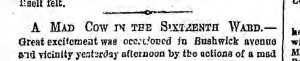Bklyn Daily Eagle, 2 September 1865.