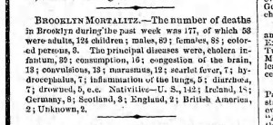The weekly statistics from the Brooklyn Daily Eagle in the summer of 1863.