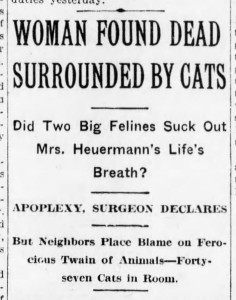 Brooklyn Daily Eagle, 18 January 1915.