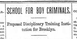 Bklyn Daily Eagle, 6 February 1896.