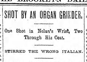 Bklyn Daily Eagle, Tues., 3 December 1895.