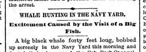 Bklyn Daily Eagle, Fri., 8 July 1887.