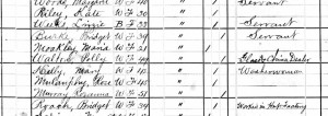 Polly Walton listed in the 1880 Census of the Kings County Penitentiary.