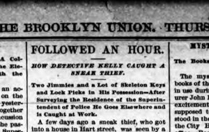 The Brooklyn Union, Thurs., 25 June 1885.